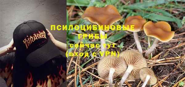 дживик Покровск
