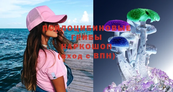 spice Покров