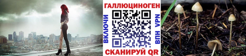 Псилоцибиновые грибы Psilocybe  Купить  Чишмы 